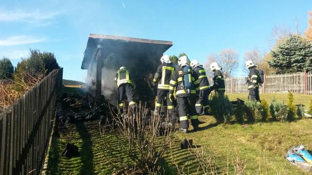 11220824 1256255671067067 9005982257426400110 n