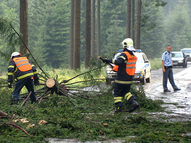 Padly strom pernink nejdek 2010 001
