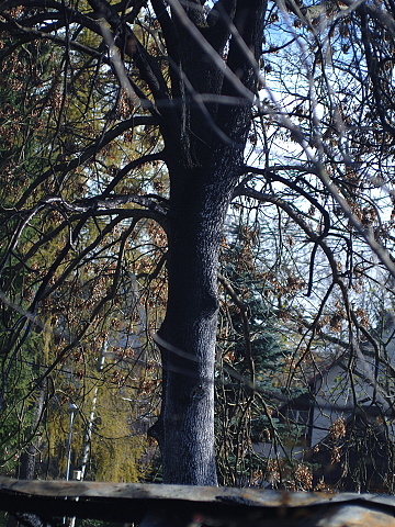 Pozar hospodarskych budov v perninku 028